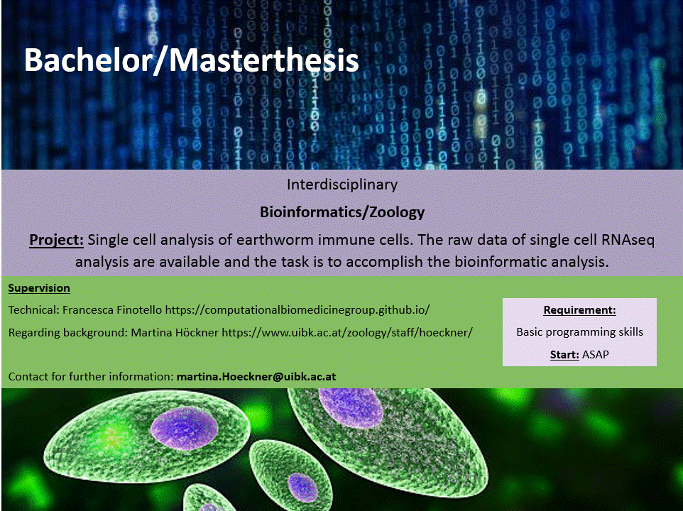 Bachelorarbeit Bioinformatik – StV Informatik